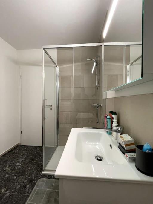 Five Stars Comfort Apartment Lugano Near The Lake 外观 照片