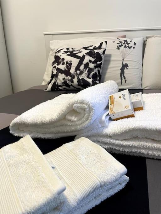 Five Stars Comfort Apartment Lugano Near The Lake 外观 照片