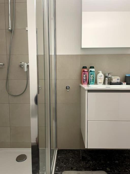 Five Stars Comfort Apartment Lugano Near The Lake 外观 照片